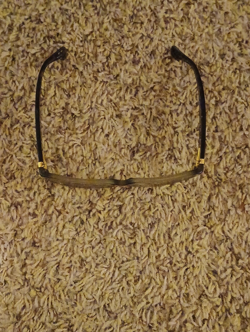 Coach Black and Gold Semi-Rimless Reading Glasses